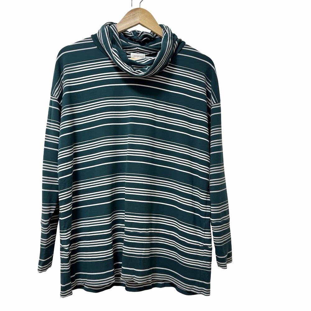 Garnet Hill Womens Jersey Striped Oversized Turtleneck Top Size S Teal Casual